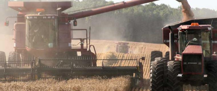 Grey County seeking public members for advisory committees related to agriculture, planning, and economic development
