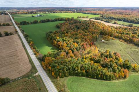 fall aerial photo of grey county landscape in full colour.