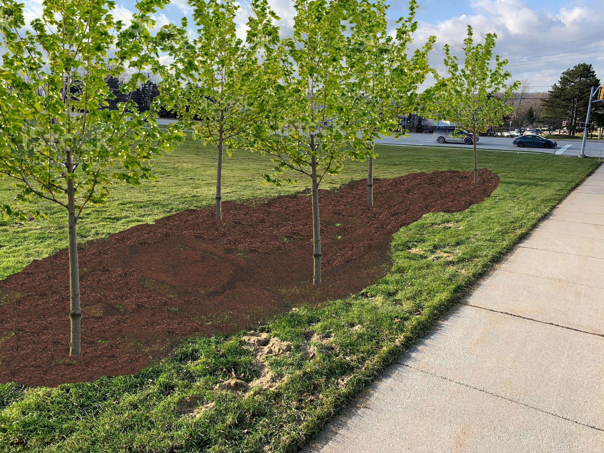 Transform the Lawn! Community Tree Planting to Celebrate Climate Action