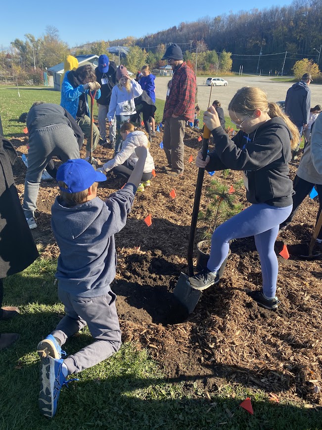 Students plant a mini forest at YCAC Conference 2025
