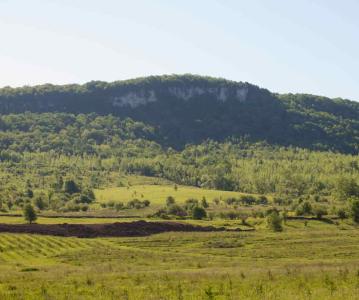 Municipalities Discuss Niagara Escarpment Plan Changes