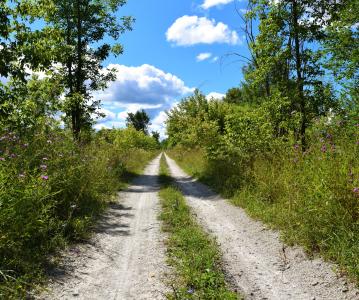 Grey County embarks on one-year pilot project with Ontario Federation of Trail Riders