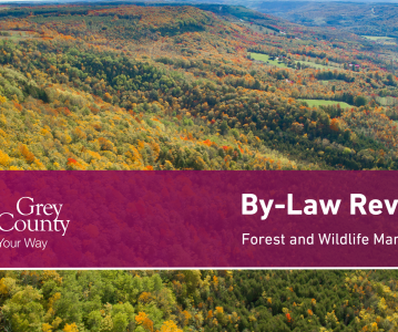 Notice: Updates to Forest Management By-Law and Wildlife By-Laws