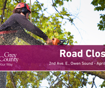 Temporary Road Closure April 11 for Tree Removal on 2nd Ave E. in Owen Sound
