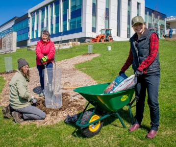 Transform the Lawn