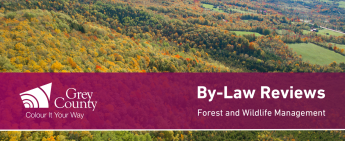 Notice: Updates to Forest Management By-Law and Wildlife By-Laws
