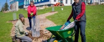 Transform the Lawn