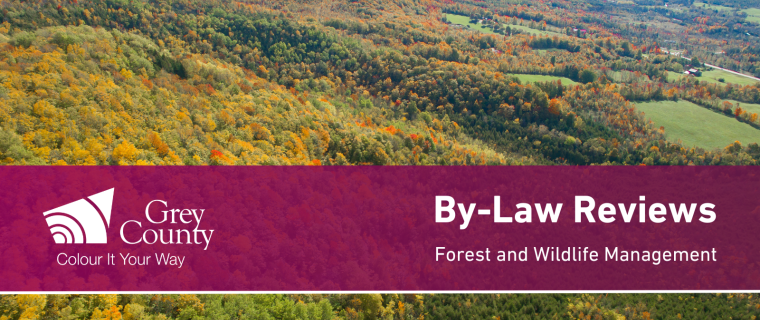 Notice: Updates to Forest Management By-Law and Wildlife By-Laws