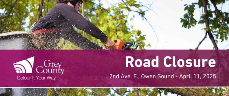Temporary Road Closure April 11 for Tree Removal on 2nd Ave E. in Owen Sound